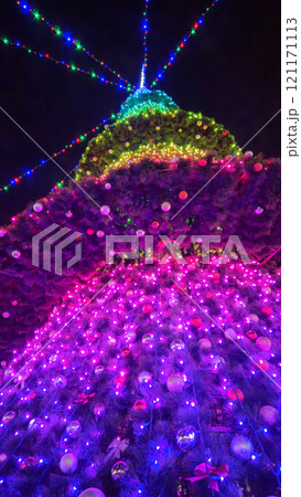 Bright christmas tree decorated with garlands of multi-colored lights against the night sky Bright christmas tree decorated with garlands of multi-colored lights against the night sky 121171113
