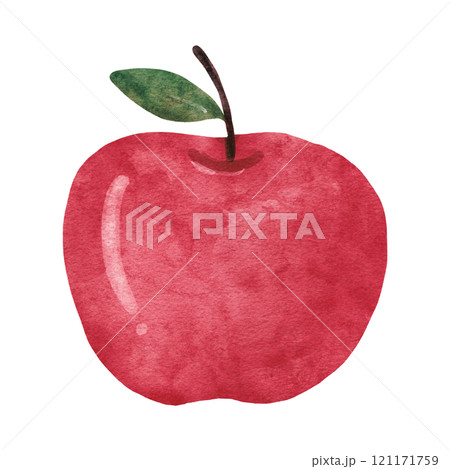 watercolor sketch of apple watercolor sketch of apple 121171759