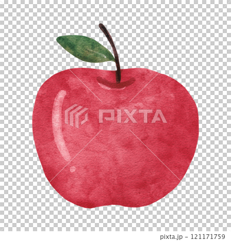 watercolor sketch of apple watercolor sketch of apple 121171759