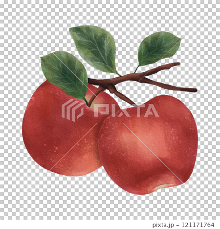 red apples with leaves isolated on white red apples with leaves isolated on white 121171764