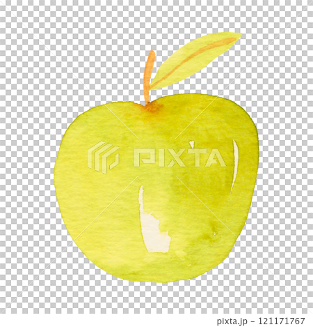 watercolor sketch of apple 121171767