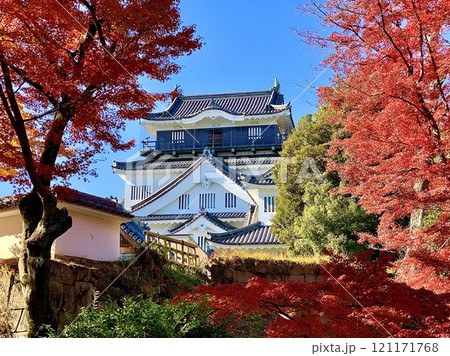 秋晴れの青空と紅葉に彩られた岡崎城天守閣〈岡崎城公園/愛知県岡崎市〉 秋晴れの青空と紅葉に彩られた岡崎城天守閣〈岡崎城公園/愛知県岡崎市〉 121171768