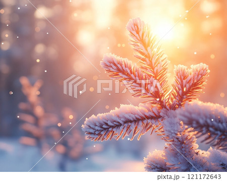 Frosted pine needles glowing in warm winter sunlight during a serene snowfall moment 121172643