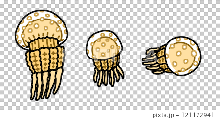 タコクラゲ 121172941