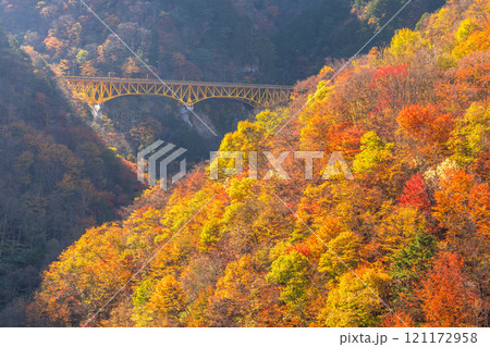 《埼玉県》紅葉に包まれた雁坂大橋・秋の奥秩父 《埼玉県》紅葉に包まれた雁坂大橋・秋の奥秩父 121172958
