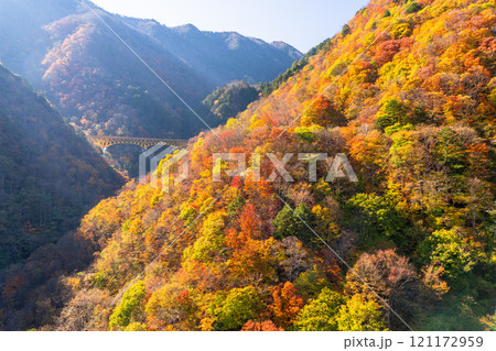 《埼玉県》紅葉に包まれた雁坂大橋・秋の奥秩父 《埼玉県》紅葉に包まれた雁坂大橋・秋の奥秩父 121172959