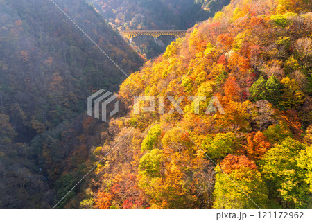 《埼玉県》紅葉に包まれた雁坂大橋・秋の奥秩父 121172962