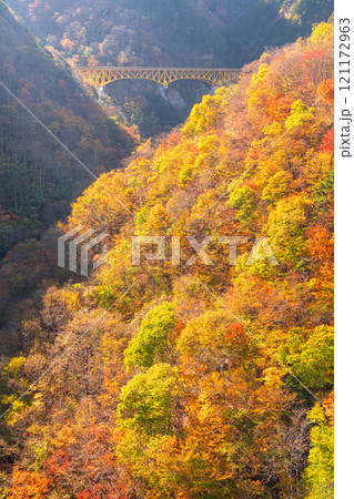 《埼玉県》紅葉に包まれた雁坂大橋・秋の奥秩父 121172963