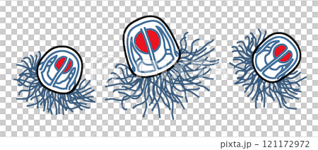 Beniculace Beniculace 121172972