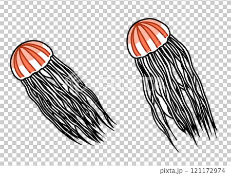 アカクラゲ 121172974