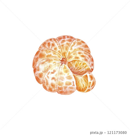 Peeled mandarin watercolor. Set of mandarin fruit design elements. Ripe orange watercolor. Orange fruit vitamin. Food illustration . juice citrus menu Peeled mandarin watercolor. Set of mandarin fruit design elements. Ripe orange watercolor. Orange fruit vitamin. Food illustration . juice citrus menu 121173080