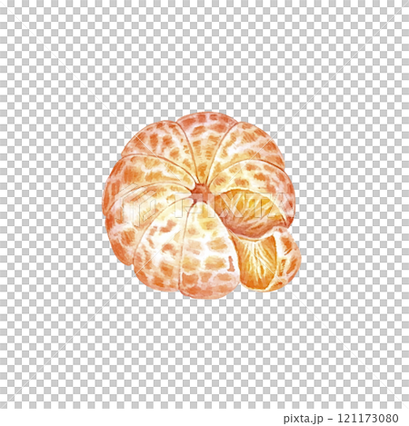 Peeled mandarin watercolor. Set of mandarin fruit design elements. Ripe orange watercolor. Orange fruit vitamin. Food illustration . juice citrus menu 121173080
