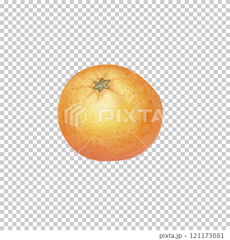 Peeled mandarin watercolor. Set of mandarin fruit design elements. Ripe orange watercolor. Orange fruit vitamin. Food illustration . juice citrus menu 121173081