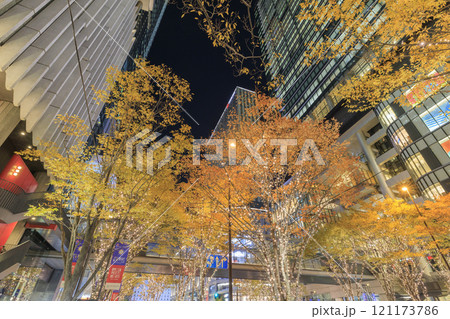 大阪うめきたのクリスマスイルミネーション (大阪市北区梅田) 大阪うめきたのクリスマスイルミネーション (大阪市北区梅田) 121173786