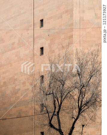 bare tree and building tiled with armenian tuff bare tree and building tiled with armenian tuff 121173927