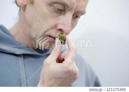 Cannabis flower for personal use, legal light drugs prescribe, alternative remedy or medication 121175400