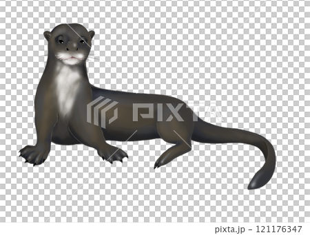 座るオオカワウソのイラスト 121176347