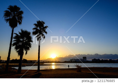 椰子の木がシルエットで浮かぶ夜明け 西宮市香櫨園にて 椰子の木がシルエットで浮かぶ夜明け 西宮市香櫨園にて 121176885