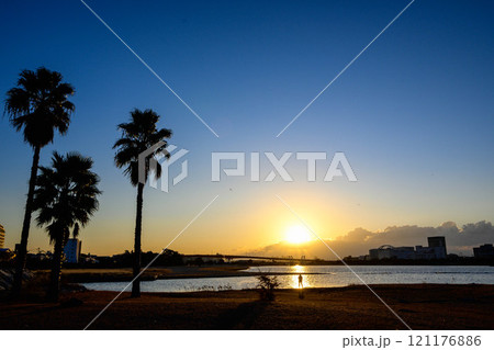 椰子の木がシルエットで浮かぶ夜明け 西宮市香櫨園にて 椰子の木がシルエットで浮かぶ夜明け 西宮市香櫨園にて 121176886