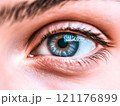 Human Eye close-up  ,iris and pupil eyes vision	 121176899