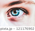 Human Eye close-up with eyelashes ,iris and pupil eyes vision	 121176902