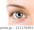 Human Eye close-up  eyes vision	 121176903