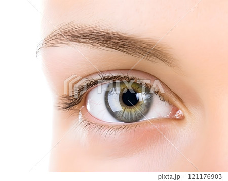 Human Eye close-up  eyes vision	 Human Eye close-up  eyes vision	 121176903