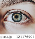 Human Eye close-up with eyelashes ,iris and pupil eyes vision	 121176904