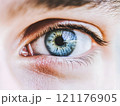 Human Eye close-up with eyelashes eyes vision	 121176905