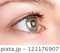 Human Eye close-up with eyelashes ,iris and pupil eyes vision	 121176907