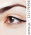 Human Eye close-up with eyelashes eyes vision	 121176908