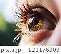 Human Eye close-up iris and pupil eyes vision	 121176909