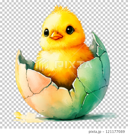 A charming watercolor illustration of a fluffy yellow chick sitting inside a colorful cracked Easter egg. Perfect for Easter-themed designs, spring decorations, or festive cards. 121177089