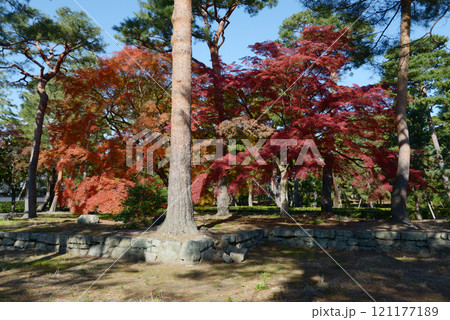 相国寺　境内の紅葉　京都市上京区 121177189