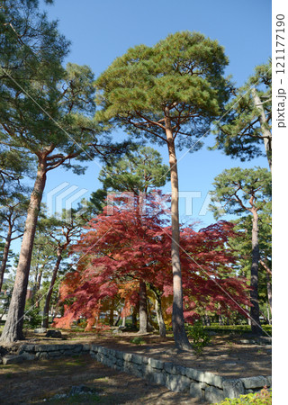 相国寺　境内の紅葉　京都市上京区 121177190