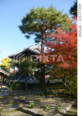 相国寺 境内の紅葉 京都市上京区 相国寺 境内の紅葉 京都市上京区 121177204