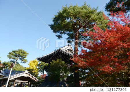 相国寺　境内の紅葉　京都市上京区 121177205