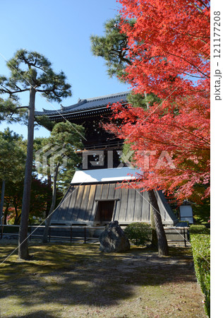 相国寺　洪音楼と紅葉　京都市上京区 121177208