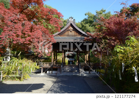 梨木神社　拝殿と紅葉　京都市上京区 121177274