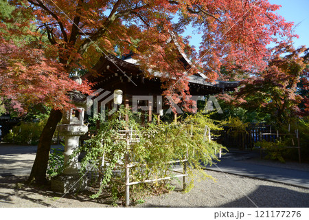 梨木神社 拝殿と紅葉 京都市上京区 梨木神社 拝殿と紅葉 京都市上京区 121177276