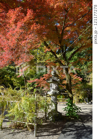 梨木神社 紅葉と石灯篭 京都市上京区 梨木神社 紅葉と石灯篭 京都市上京区 121177278