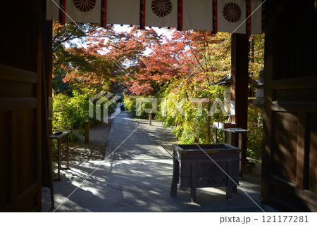 梨木神社 参道の紅葉 京都市上京区 梨木神社 参道の紅葉 京都市上京区 121177281