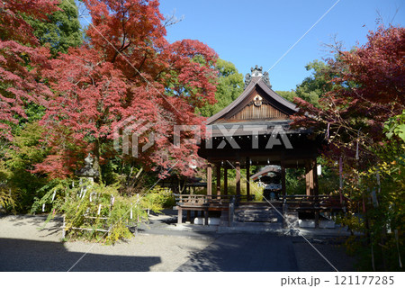梨木神社 本殿と紅葉 京都市上京区 梨木神社 本殿と紅葉 京都市上京区 121177285