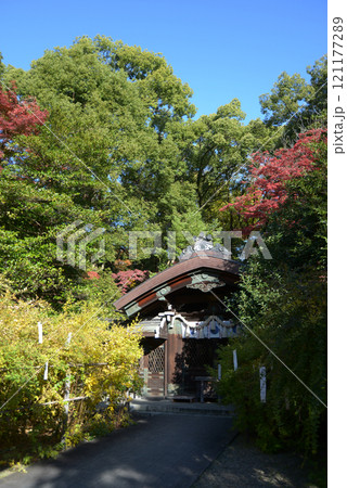 梨木神社　本殿と紅葉　京都市上京区 121177289