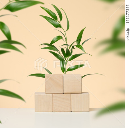 Wooden platform with green leaves on beige background, stage for advertising and product display 121177335