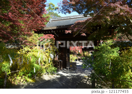 梨木神社 神門と紅葉 京都市上京区 梨木神社 神門と紅葉 京都市上京区 121177455