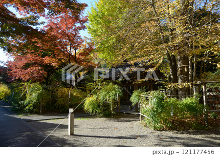 梨木神社　境内の紅葉　京都市上京区 121177456