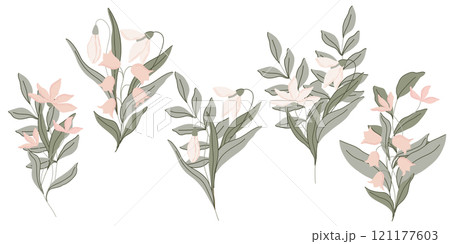 Elegant botanical flat illustration, bouquets with soft green leaves and pastel pink flowers, lilies of the valley and snowdrops. Minimalist design for print design, packaging, textiles, cards Elegant botanical flat illustration, bouquets with soft green leaves and pastel pink flowers, lilies of the valley and snowdrops. Minimalist design for print design, packaging, textiles, cards 121177603