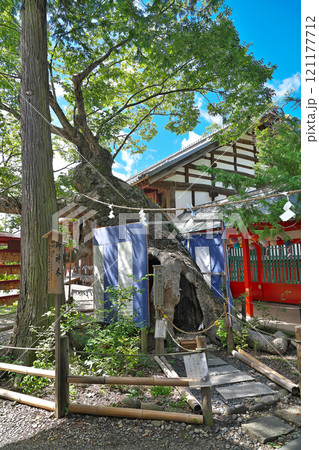 【生島足島神社 (夫婦欅)】 長野県上田市下之郷中池西 【生島足島神社 (夫婦欅)】 長野県上田市下之郷中池西 121177712