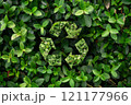 A plantthemed recycling symbol surrounded by lush green leaves 121177966